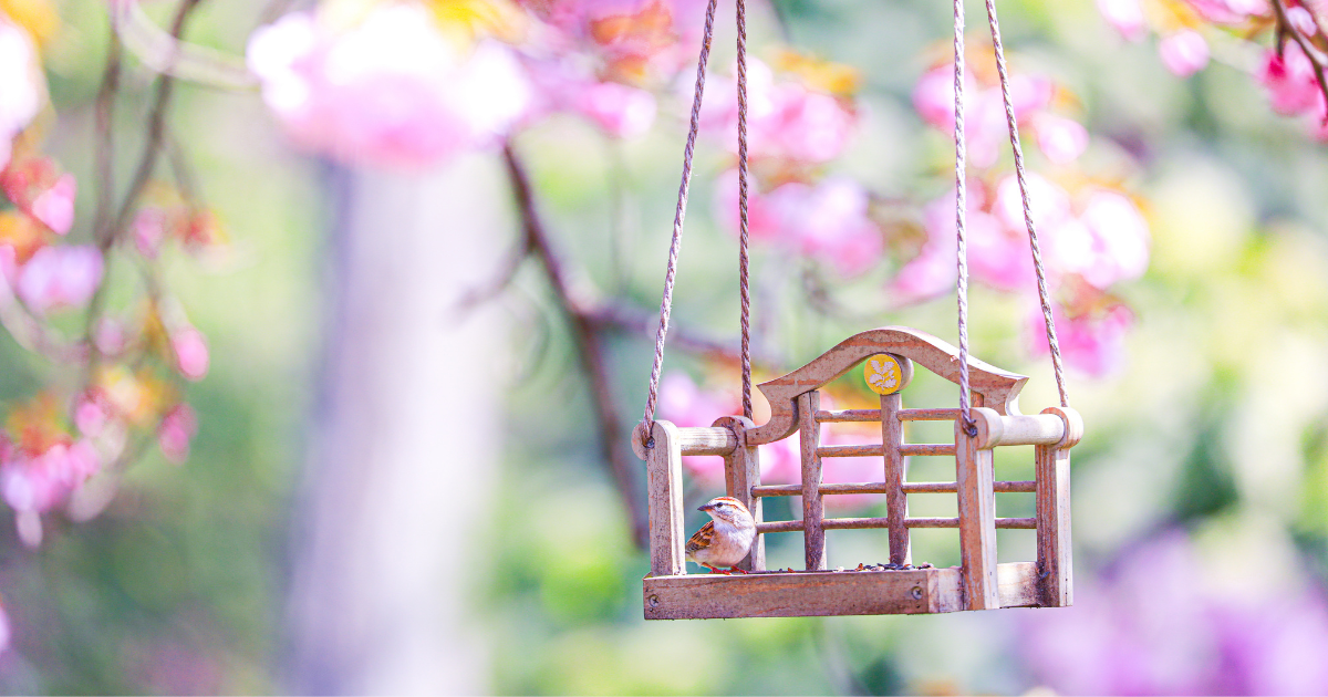 10 gợi ý khai bút đầu năm dành cho người viết để cả năm vạn sự hanh thông