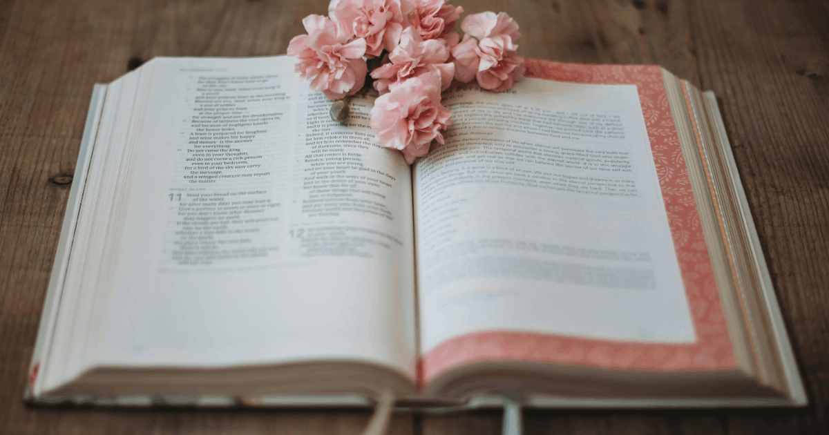 Book Proposal (bản đề xuất sách) quan trọng như thế nào?
